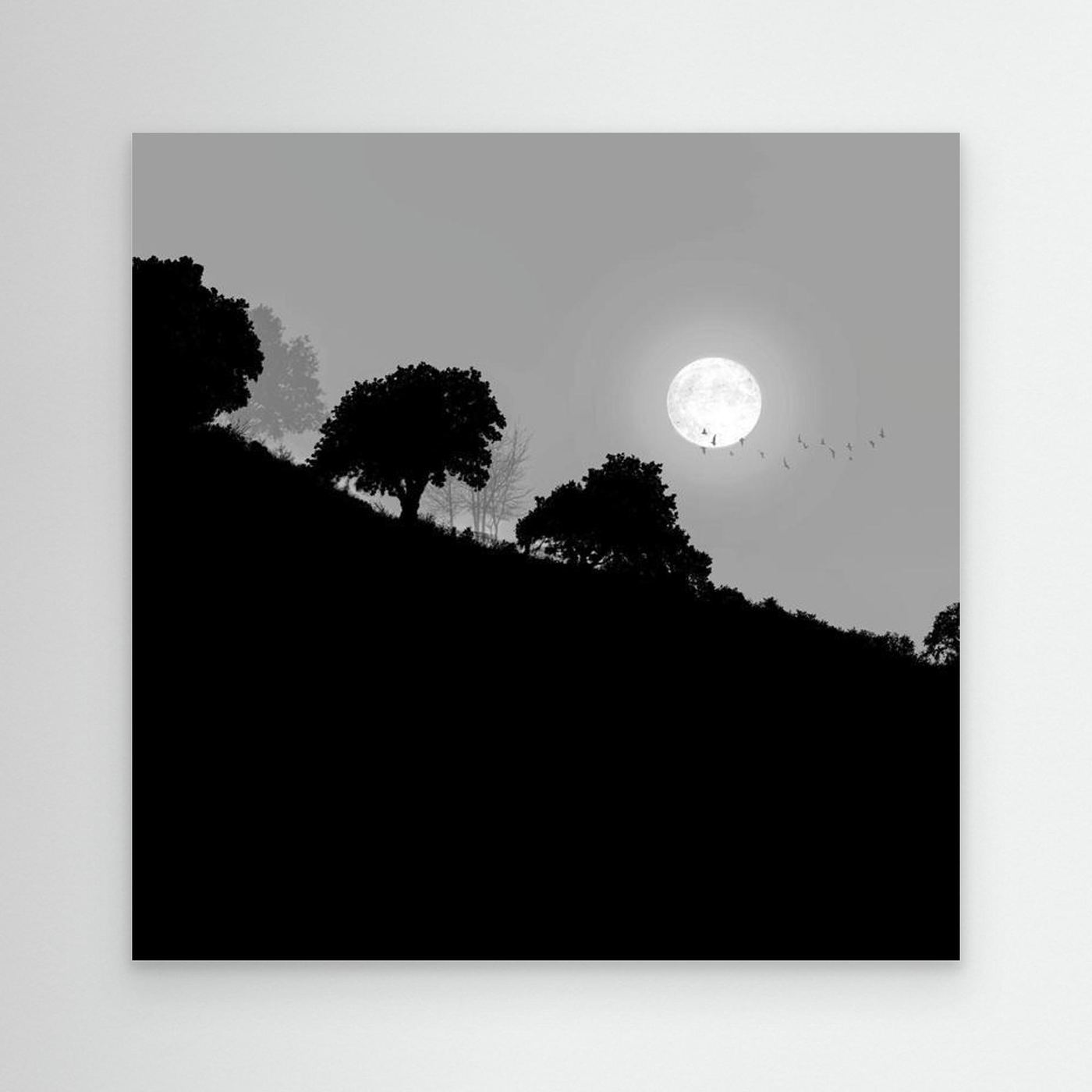 FAIR MOON RISING by WalkinHISlight.art - Fine Art Canvases