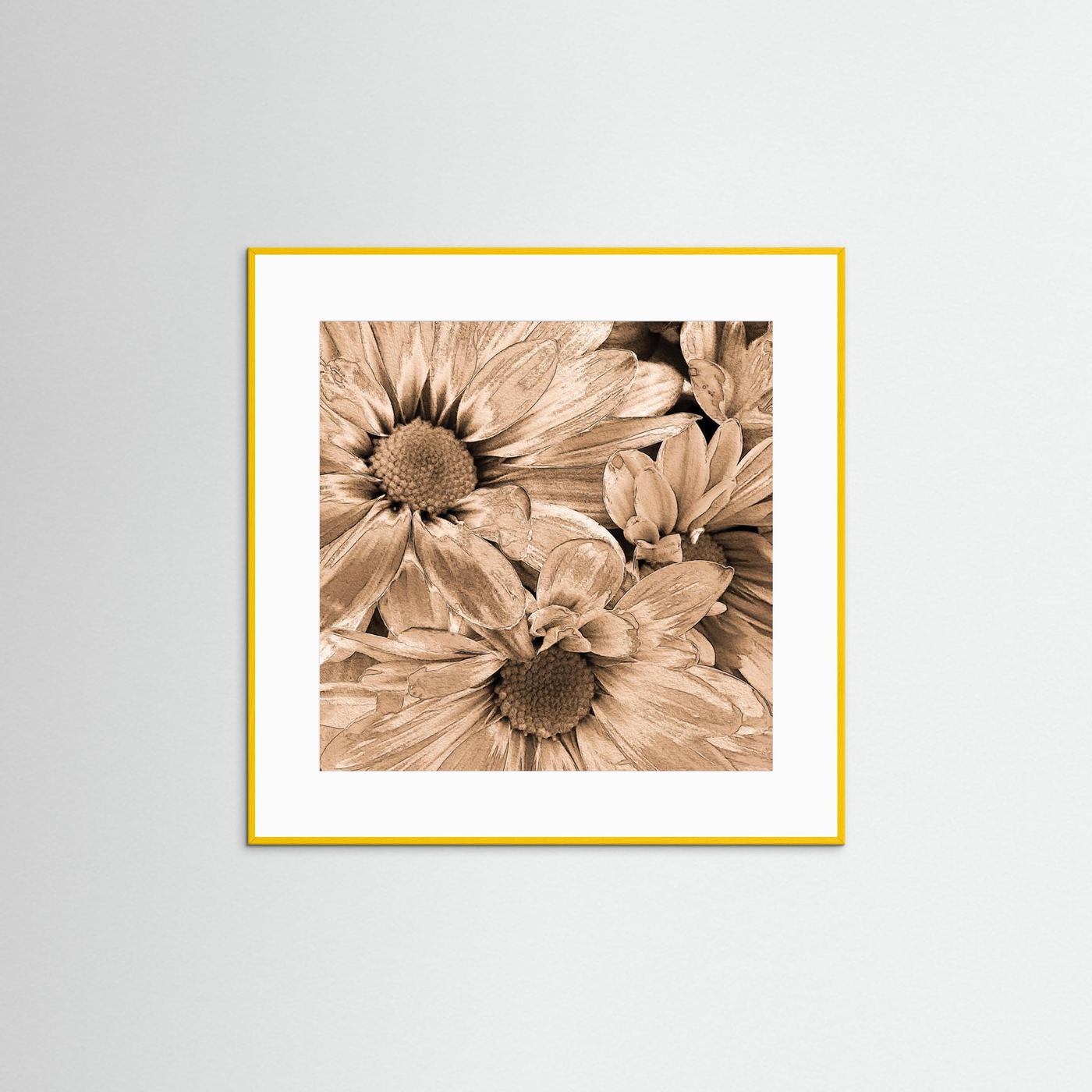 DAISIES 'Sepia' by WalkinHISlight.art - Fine Art Prints