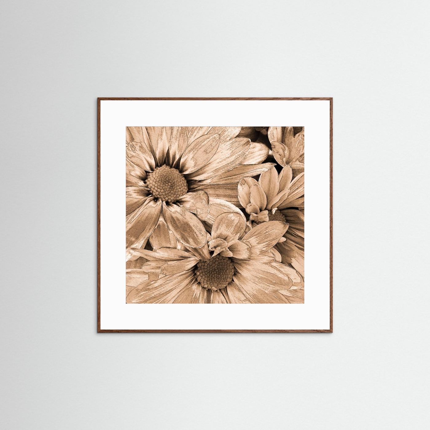 DAISIES 'Sepia' by WalkinHISlight.art - Fine Art Prints