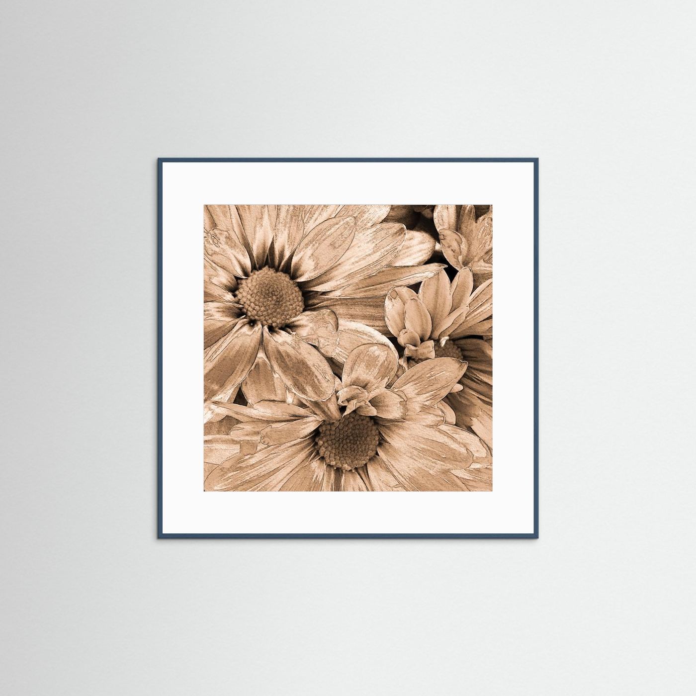 DAISIES 'Sepia' by WalkinHISlight.art - Fine Art Prints