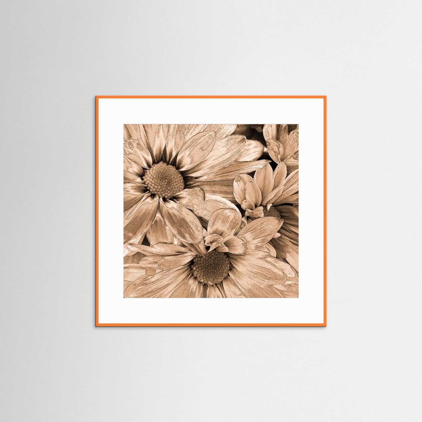 DAISIES 'Sepia' by WalkinHISlight.art - Fine Art Prints