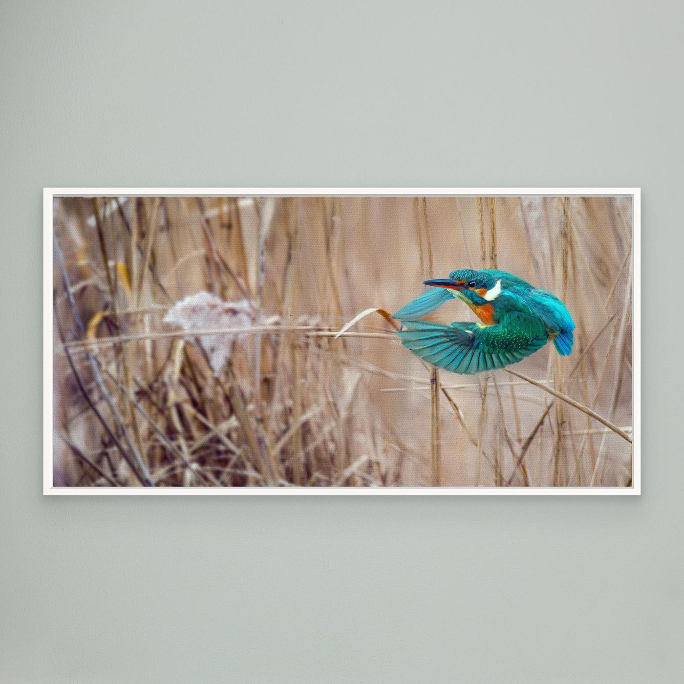 JET BLUE Walk In HIS Light | Fine Art Canvases