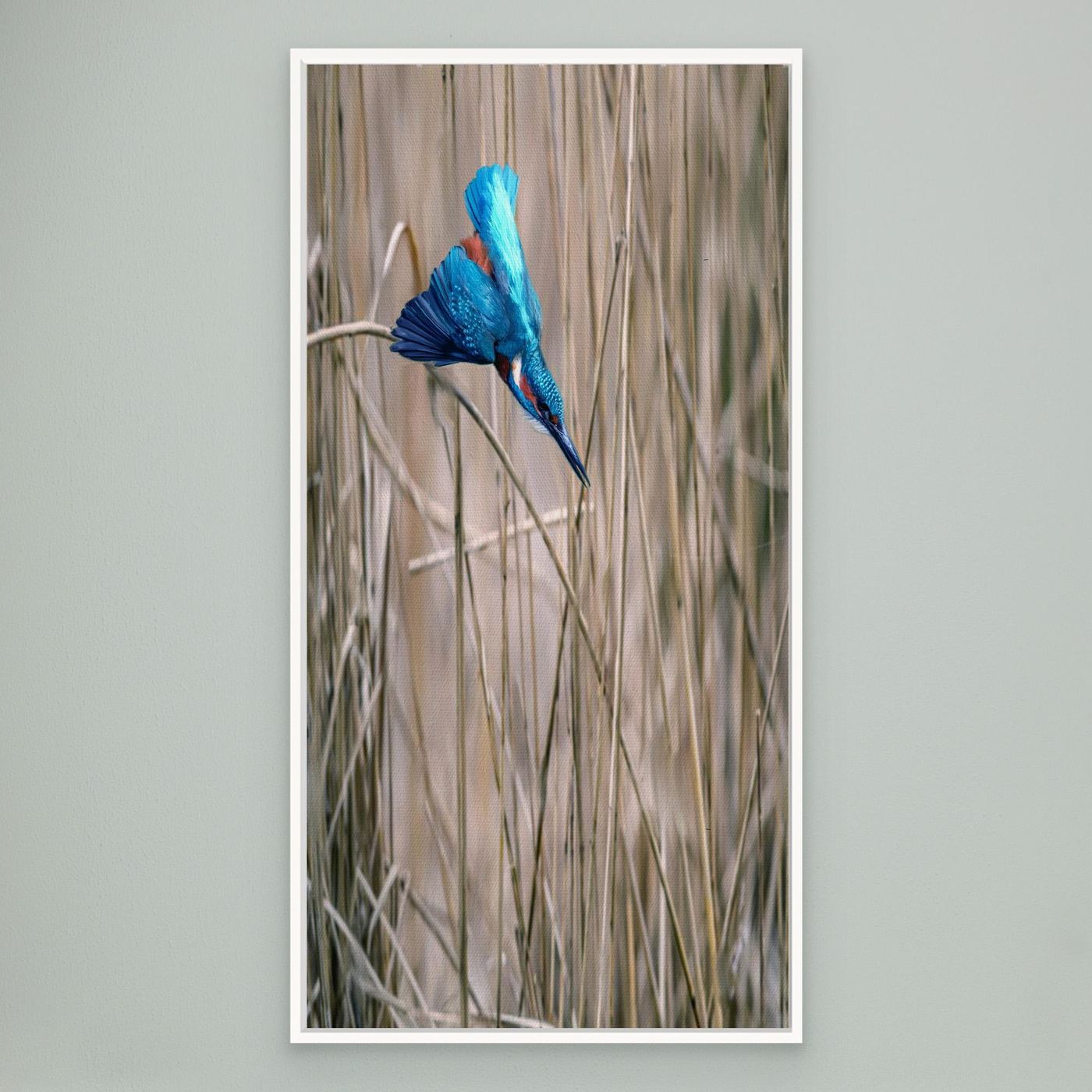 BLUE DART  Walk In HIS Light | Fine Art Canvases