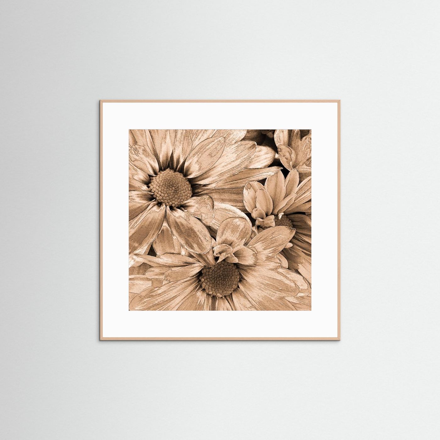 DAISIES 'Sepia' by WalkinHISlight.art - Fine Art Prints