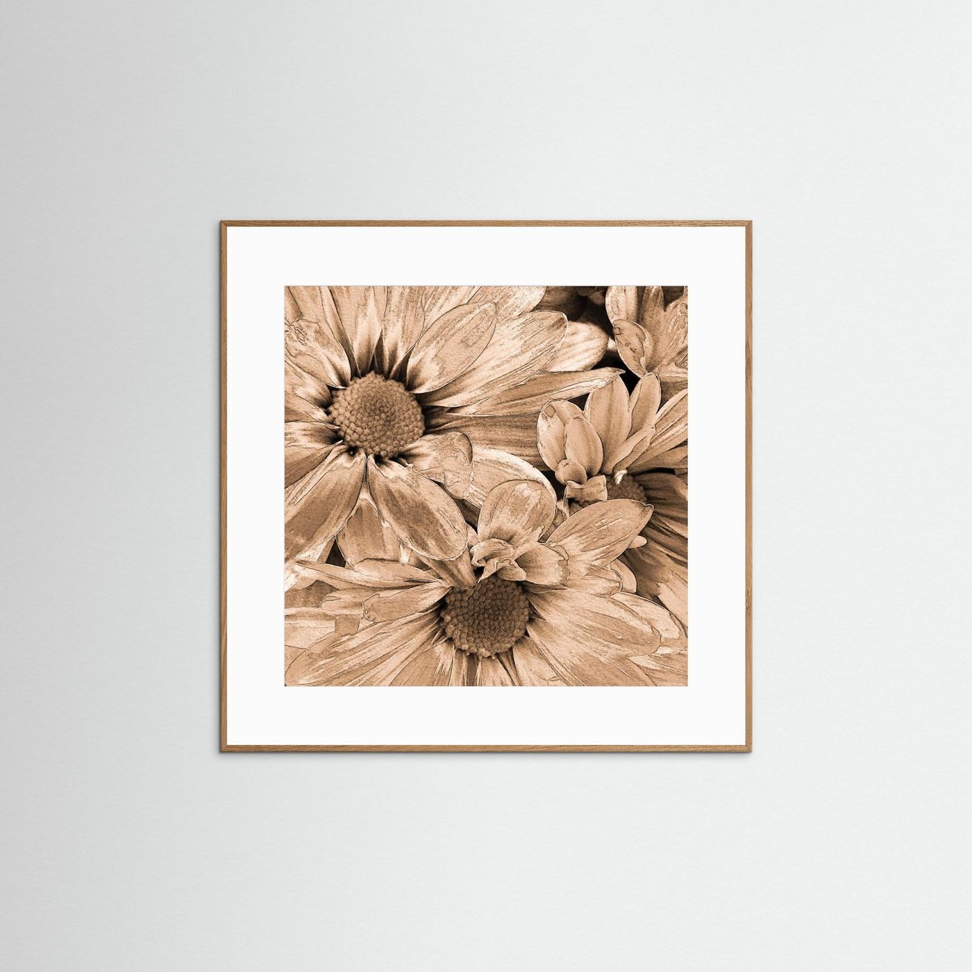 DAISIES 'Sepia' by WalkinHISlight.art - Fine Art Prints
