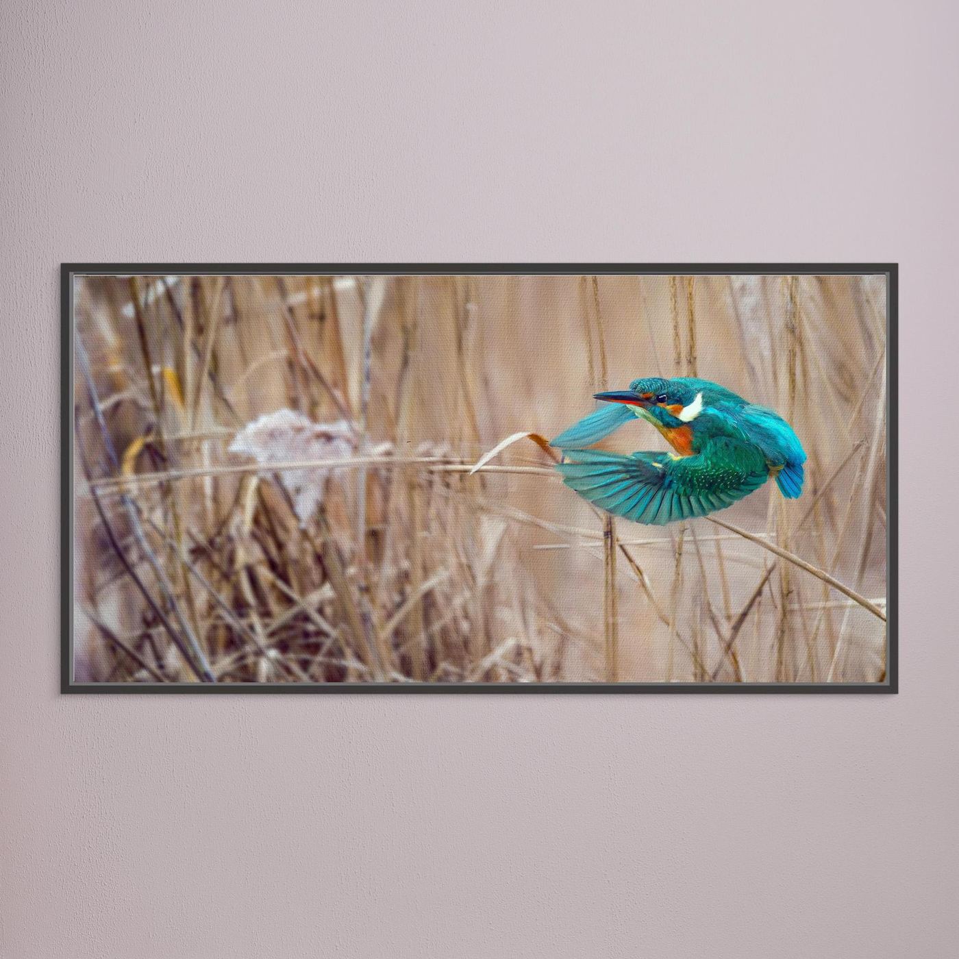 JET BLUE Walk In HIS Light | Fine Art Canvases