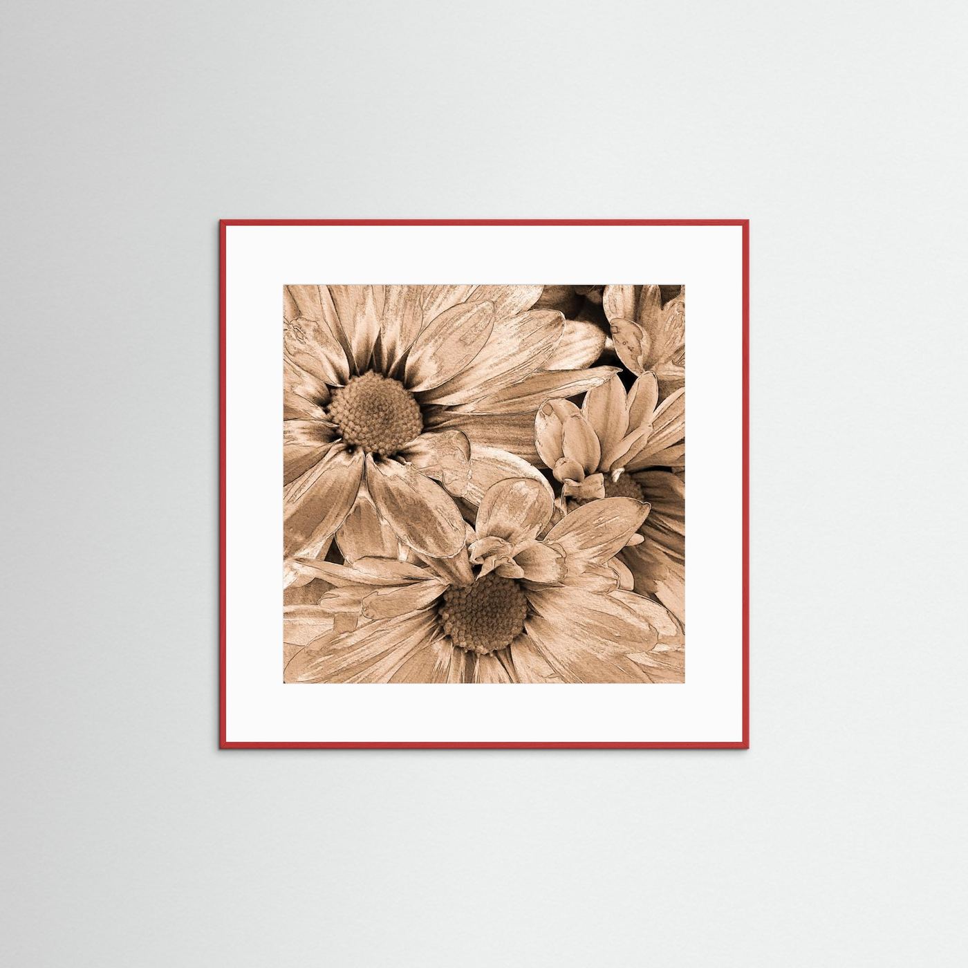 DAISIES 'Sepia' by WalkinHISlight.art - Fine Art Prints