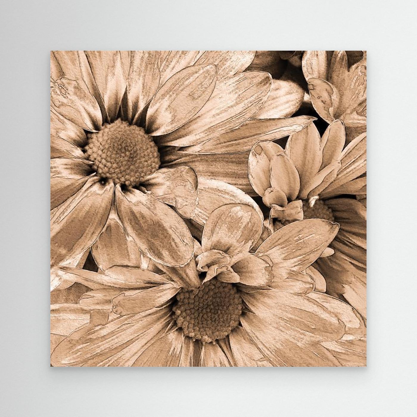 DAISIES 'Sepia' by WalkinHISlight.art - Fine Art Canvases