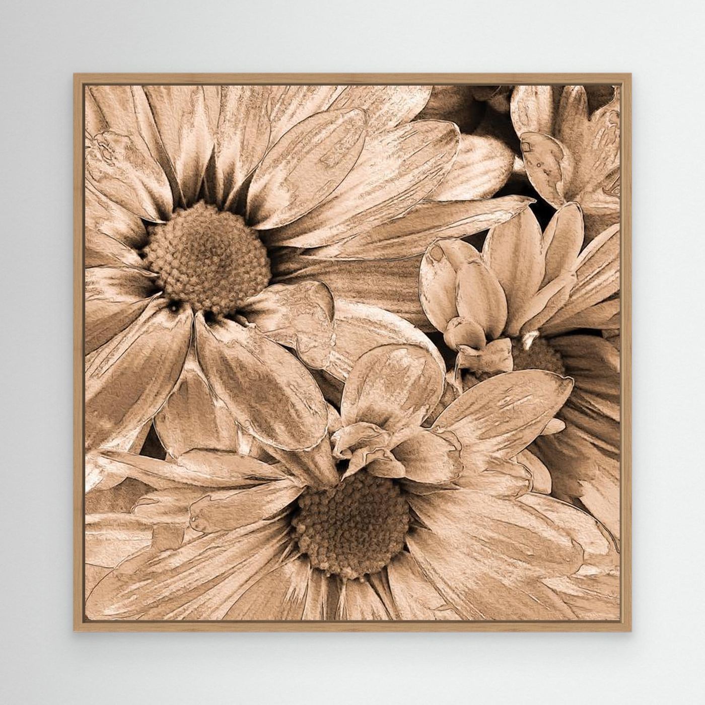 DAISIES 'Sepia' by WalkinHISlight.art - Fine Art Canvases