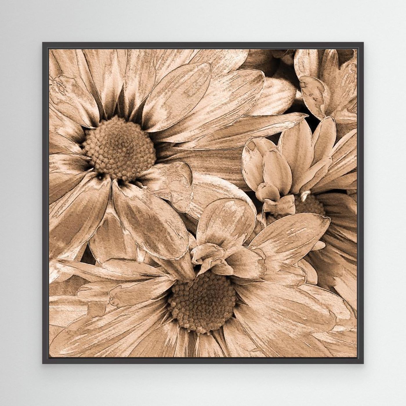 DAISIES 'Sepia' by WalkinHISlight.art - Fine Art Canvases