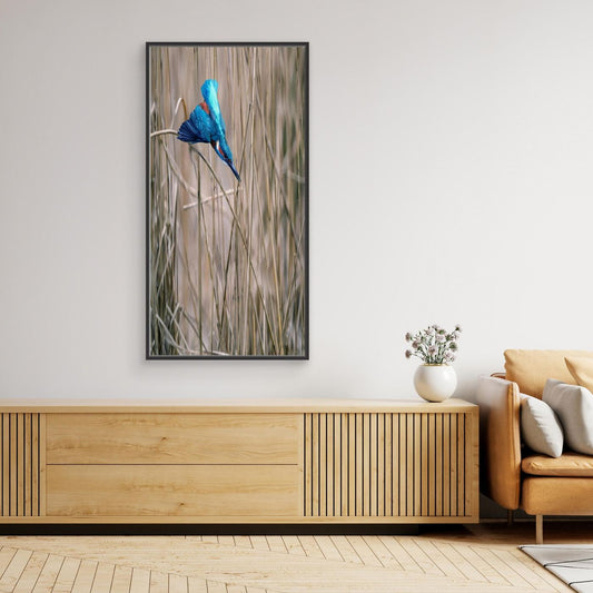 BLUE DART  Walk In HIS Light | Fine Art Canvases