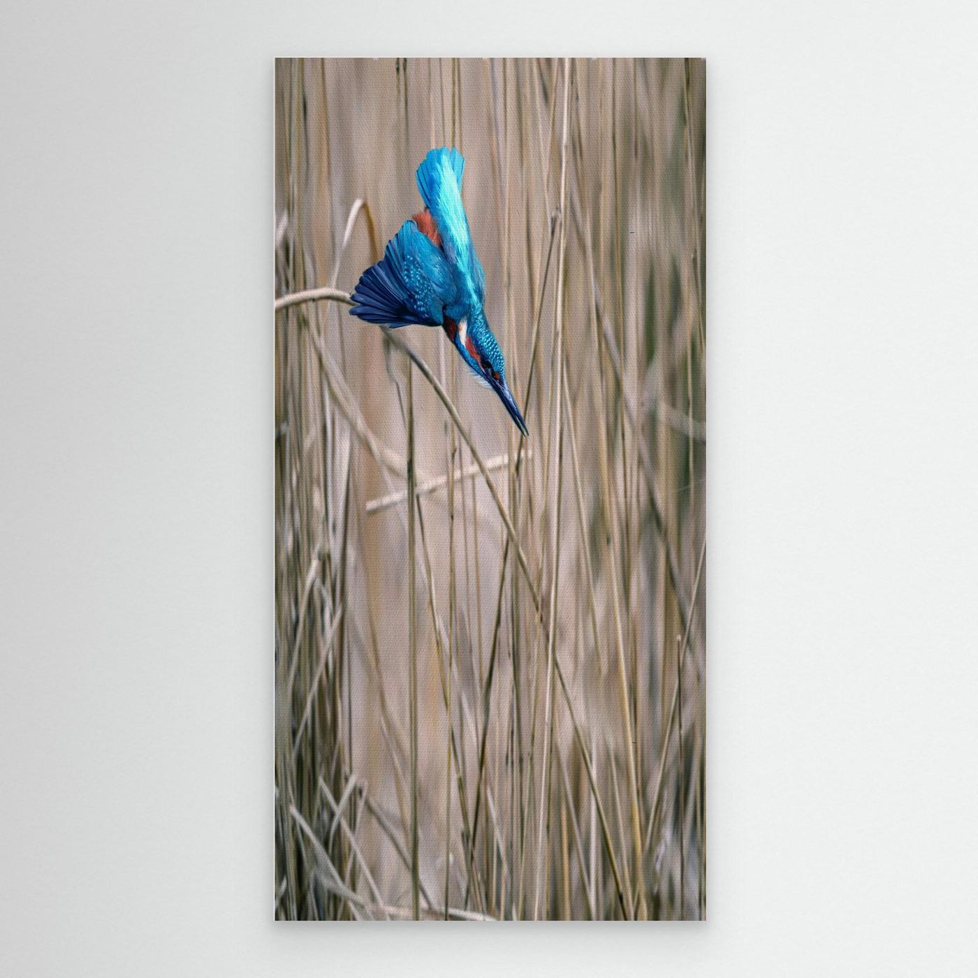BLUE DART  Walk In HIS Light | Fine Art Canvases