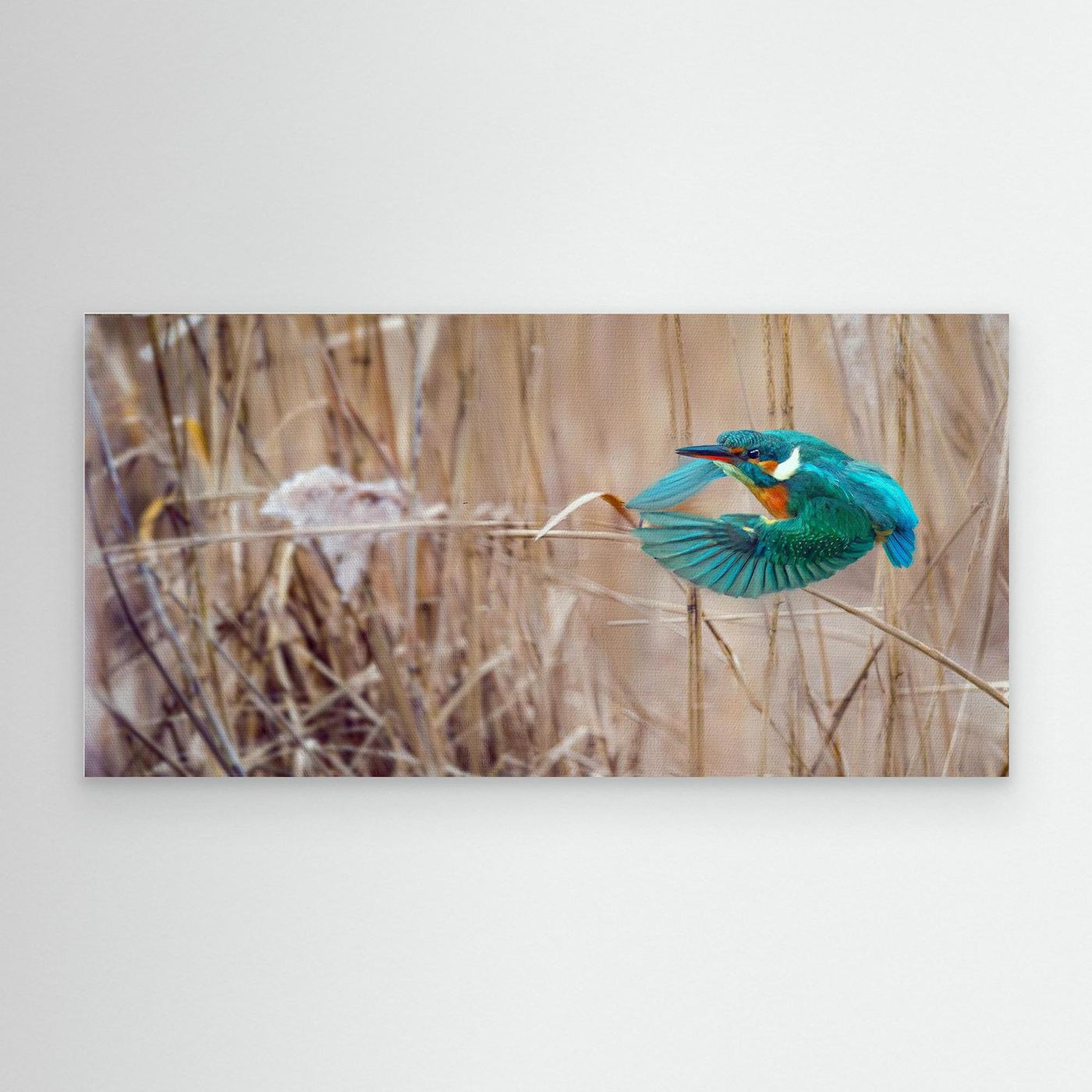 JET BLUE Walk In HIS Light | Fine Art Canvases