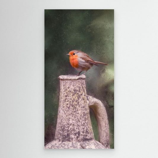 POSER  Walk In HIS Light | Fine Art Canvases